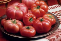 Beefmaster Tomatoes